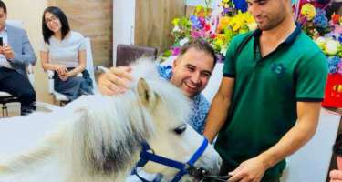 Hacı Nurandan iradlara 