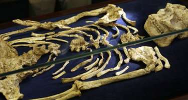 Bakıda evdən skeletləşmiş qadın meyiti 