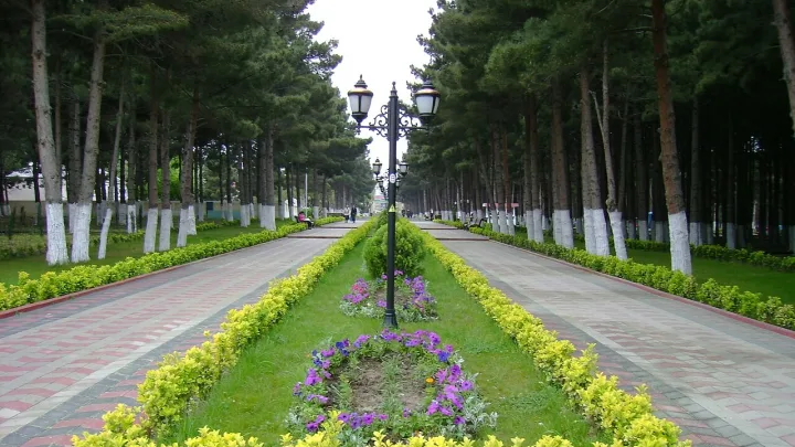 Azərbaycanın bu şəhərində evlər kütləvi satışa çıxarılır