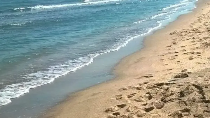 Çimərliklərdə gözlənilən hava şəraiti açıqlandı