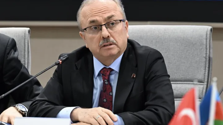 FETÖ fəaliyyət göstərdiyi bütün ölkələr üçün təhlükədir -