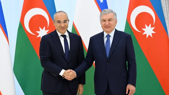 Özbəkistan Prezidenti Mikayıl Cabbarovu qəbul etdi
