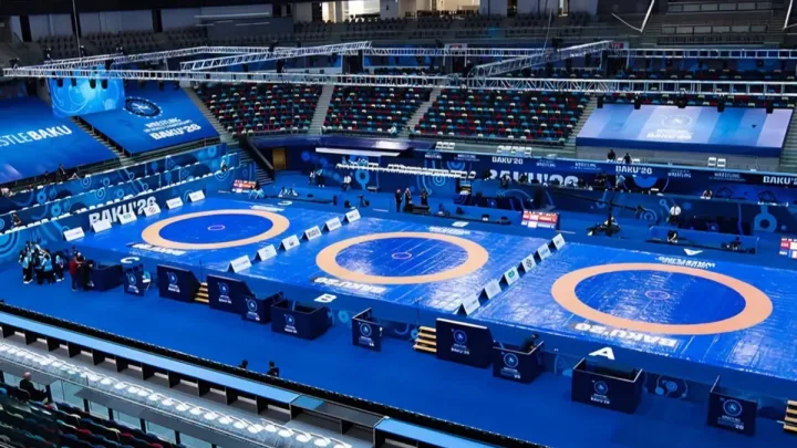 Azərbaycan millisi dünya çempionatını 7 medalla başa vurdu