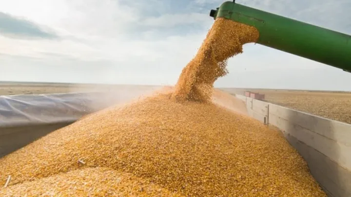 Ermənistana 979 ton buğda göndərildi