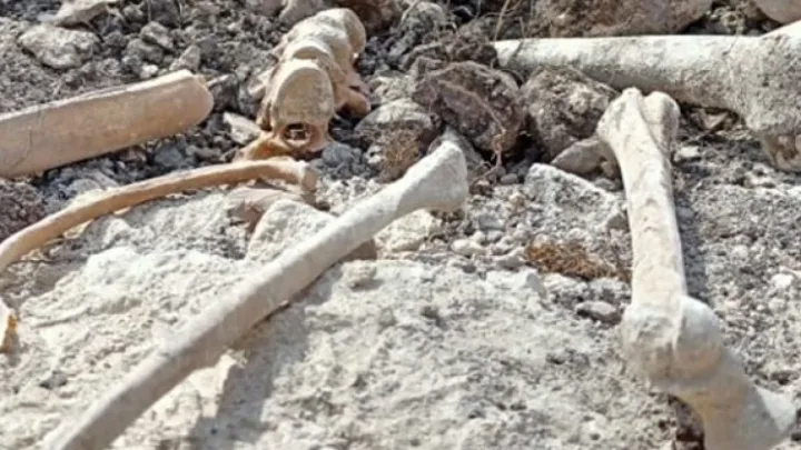 Şuşakənddə insan sümüyünə bənzər qalıqlar tapıldı 
