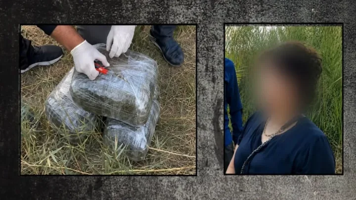 İmişlidə 10 kiloqram narkotik dövriyyədən çıxarıldı