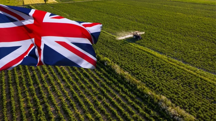 Britaniyada zeytun yağı rekord həddə bahalaşıb