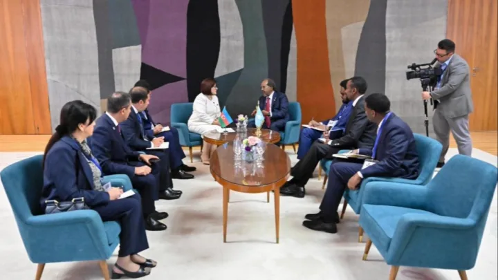 Sahibə Qafarova Somali Prezidenti ilə görüşdü