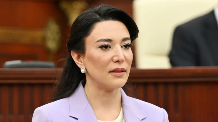 Saakyanın iddiaları əsassız və qərəzlidir - 