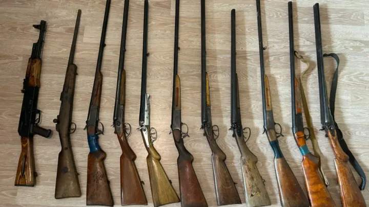 Azərbaycanda 17 silah aşkarlandı