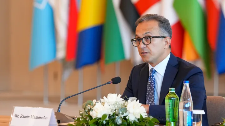 Ramin Məmmədov beynəlxalq konfransda çıxış edib