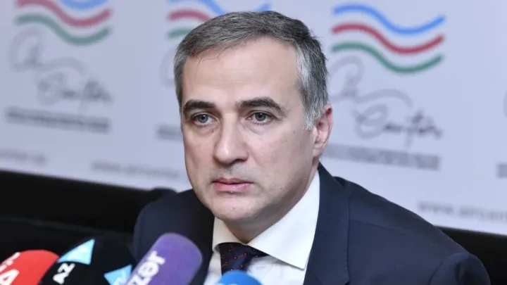 “Türkiyənin olmadığı platformalarda maraqlarını biz müdafiə edirik” -