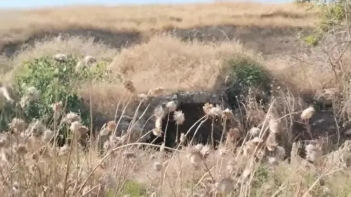 Xocavənddə yeni tarixi abidə aşkar edildi