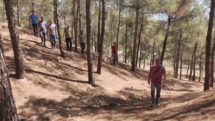Turistləri cəlb etmək üçün meşədə qızıl gizlətdilər 