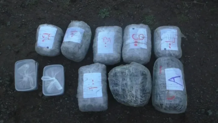 Bakıda 31 kiloqram narkotik aşkarlandı