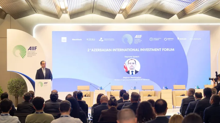 Məcnun Məmmədov panel sessiyada çıxış etdi