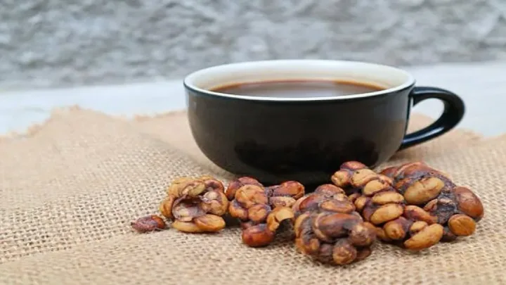 Bu qəhvə heyvanın nəcisindən hazırlanır 
