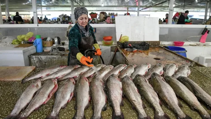 Süni intellekt ən faydalı balığı açıqladı
