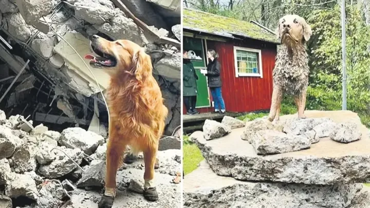 18 nəfərin həyatını xilas edən itə heykəl qoyuldu 