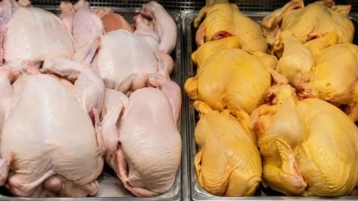 Sarı, yoxsa ağ dərili toyuq? - 