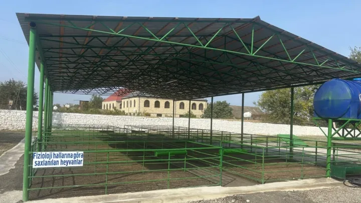 Şəmkirdə heyvan satışı bazarı fəaliyyətə başladı
