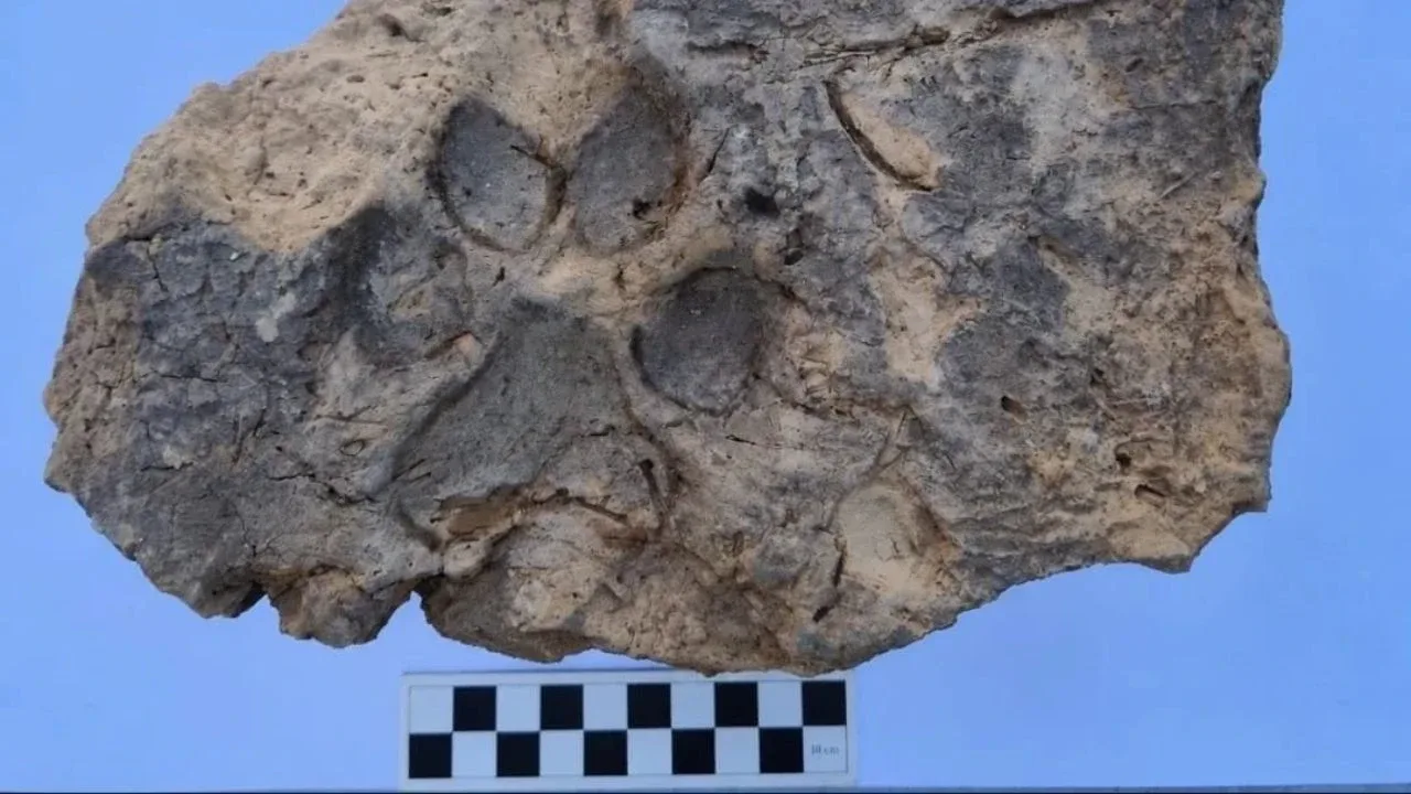 Arxeoloqları heyrətləndirən tapıntı: 