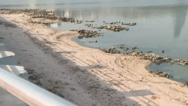 Xəzər dənizi bulvardan 30 kilometr geri çəkilə bilər 
