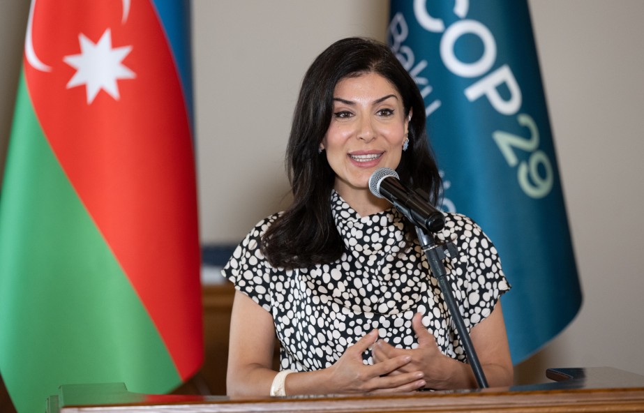 ​Azərbaycanın xanım deputatları kimlərdir? - 