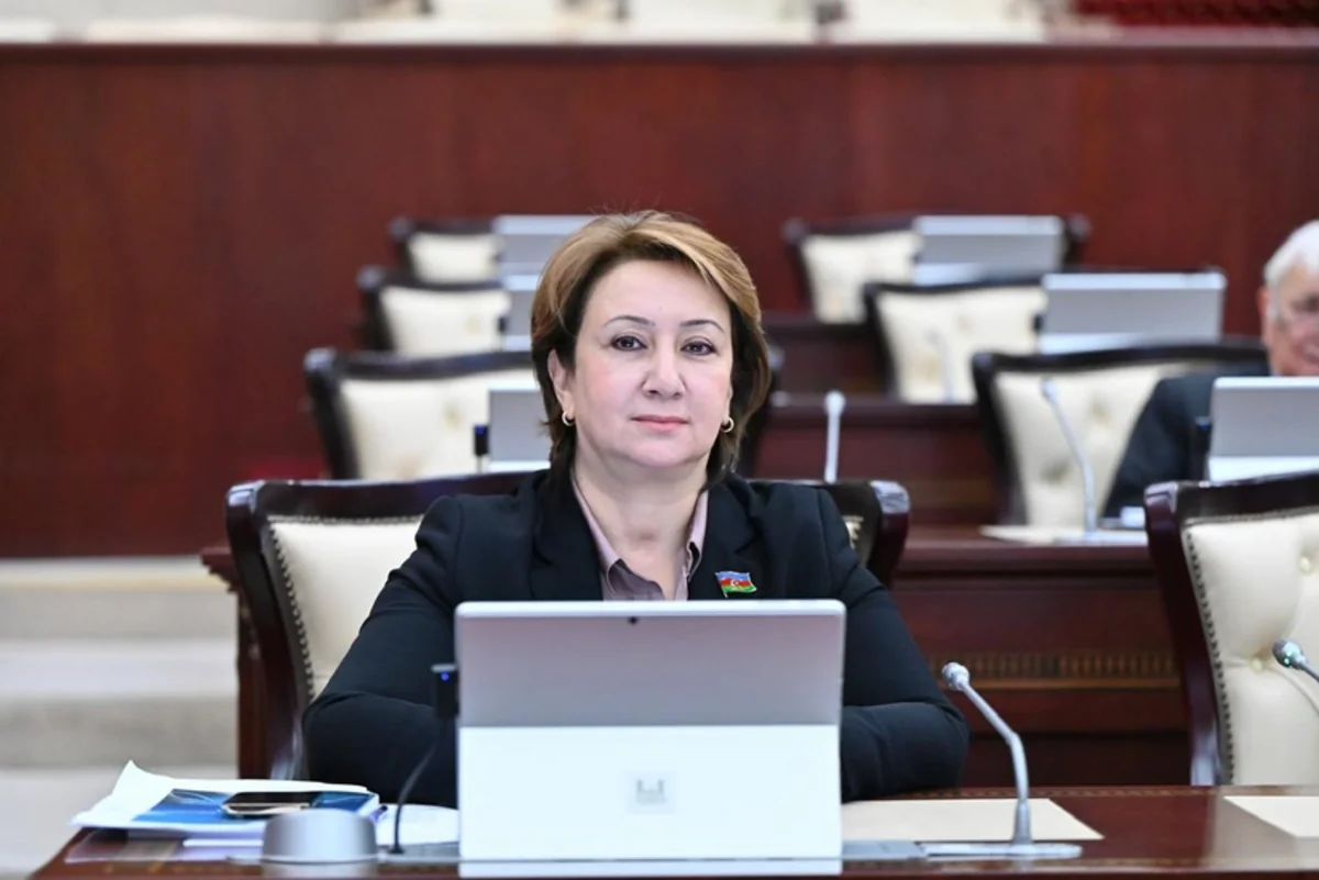 ​Azərbaycanın xanım deputatları kimlərdir? - 
