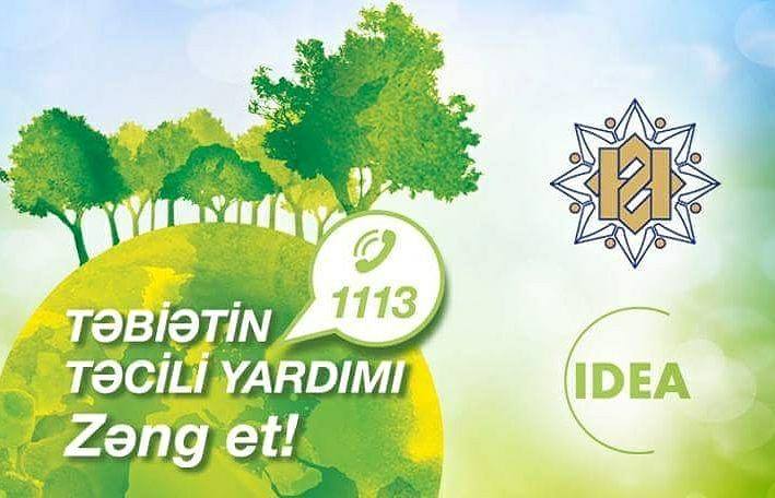 ​Ağacların kəsildiyini görən şəxslər