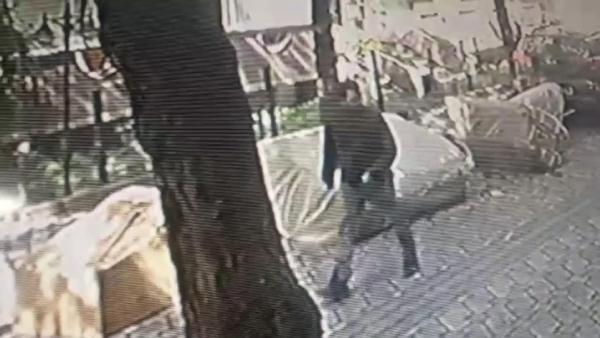 Polis hər yerdə bu manyakı AXTARIR -