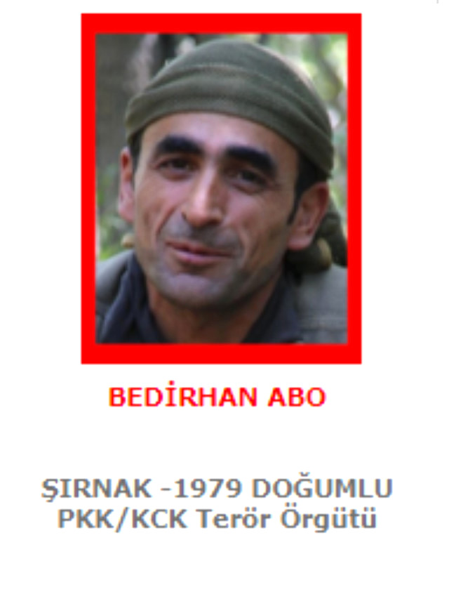 Qırmızı siyahıda axtarılan PKK-lı terrorçu zərərsizləşdirildi -