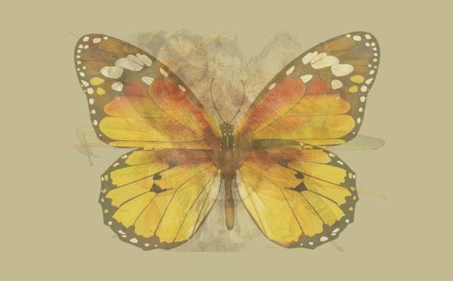 Fotoya ilk baxdığınızda nə gördüz? -