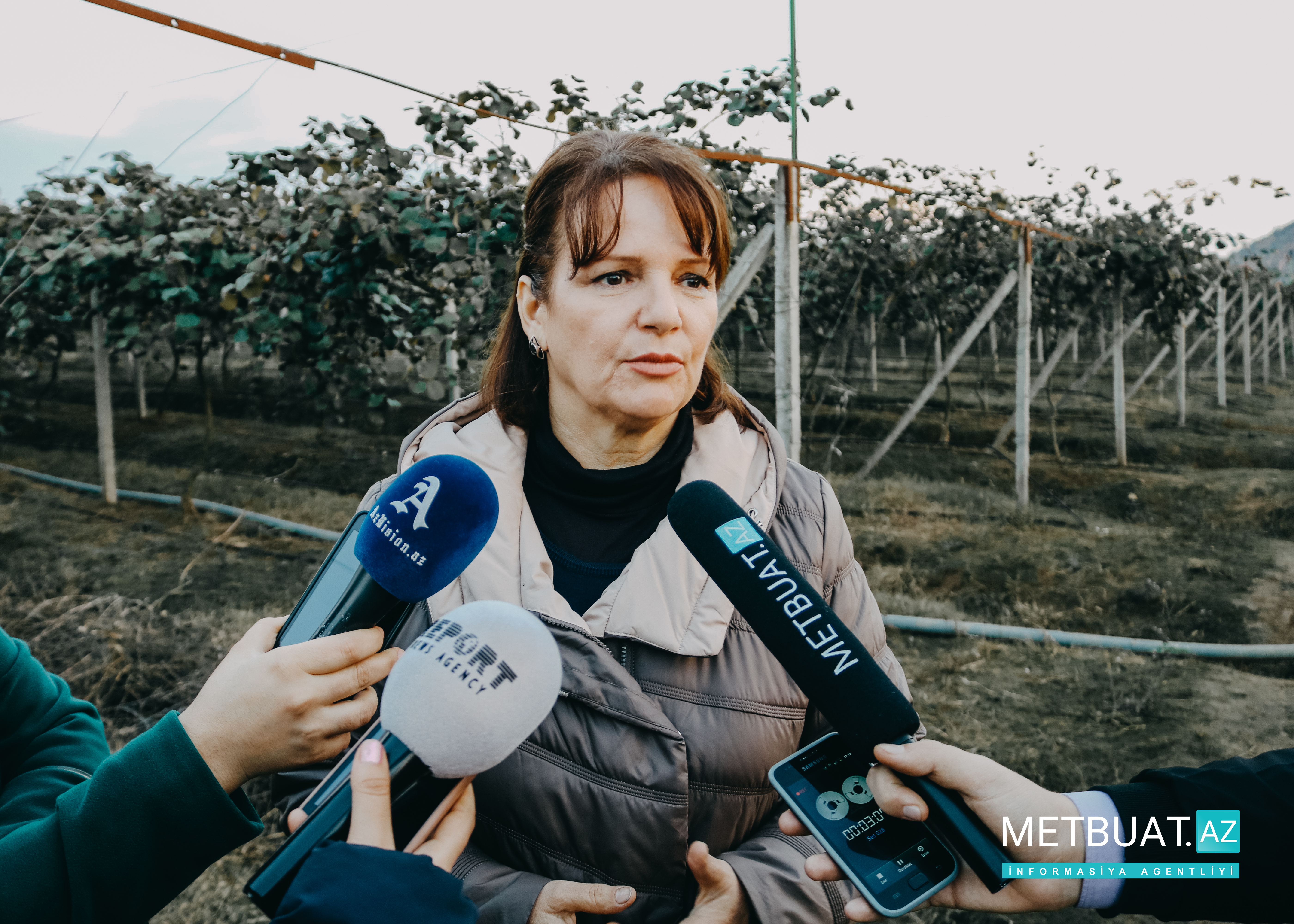 "Əvvəl uşaqları yetişdirirdim, indi də körpə fidanları böyüdürəm"