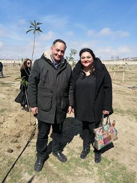"Bu yaz özün bir təbiət yarat":