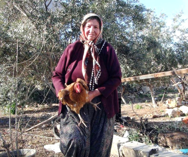  500 manata satılan yumurtanın üzərinə görün nə yazılıb