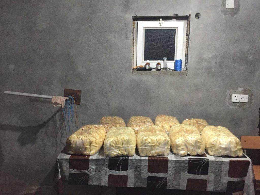 Antisanitar saçaqlı pendir sexi aşkarlandı -