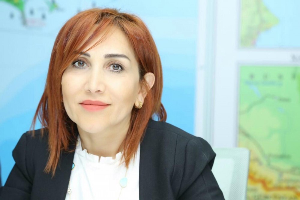 Mətbuat katibləri Metbuat.az-ın fəaliyyətindən