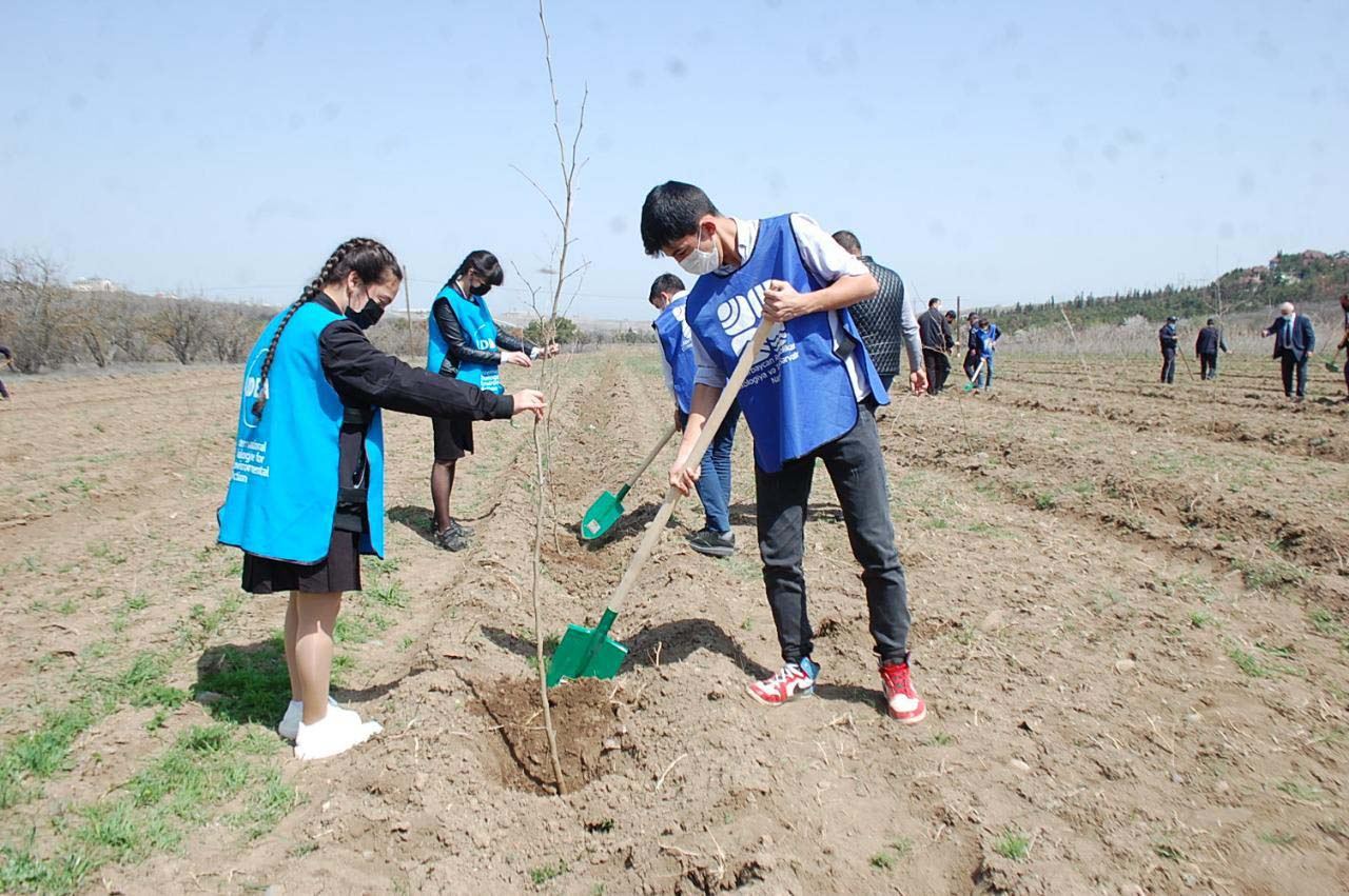 “Yaşıl Marafon” davam edir -