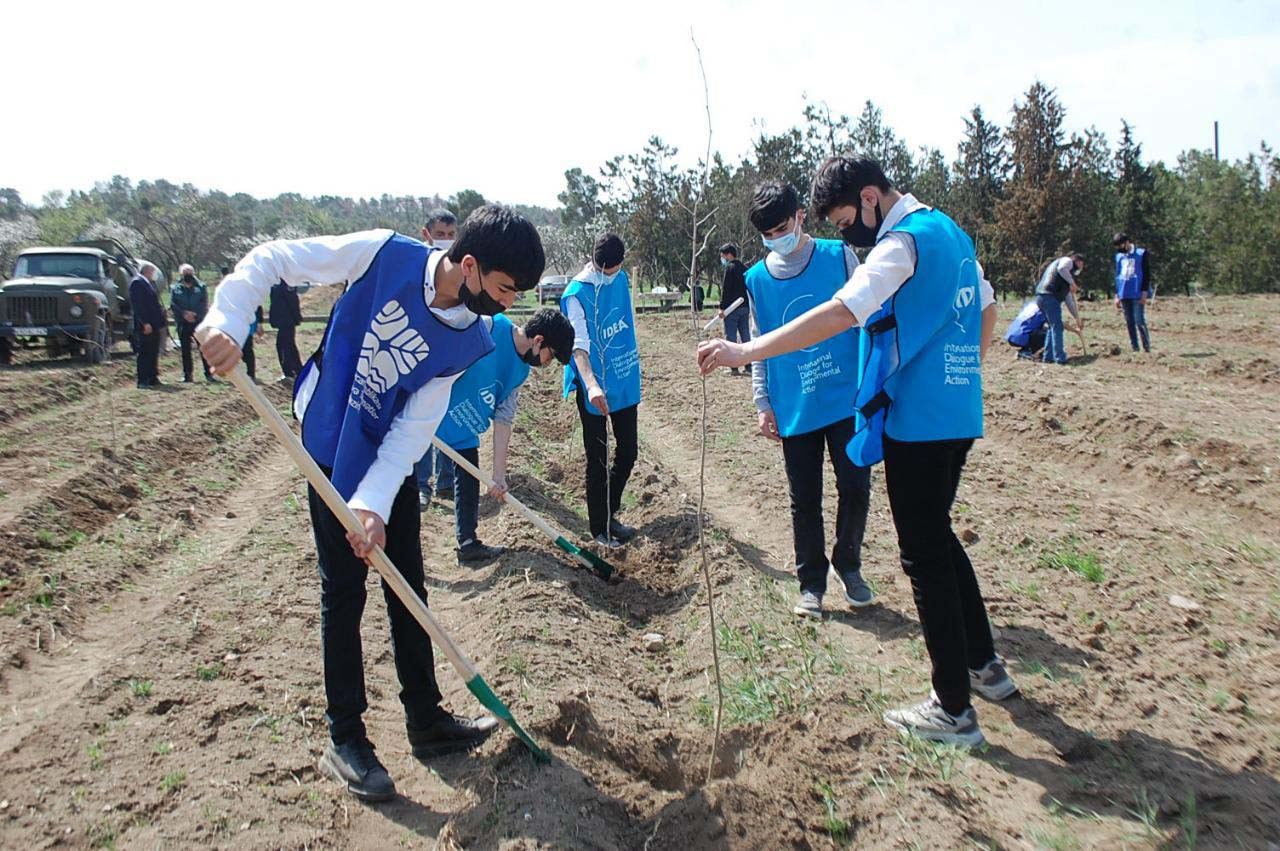 “Yaşıl Marafon” davam edir -
