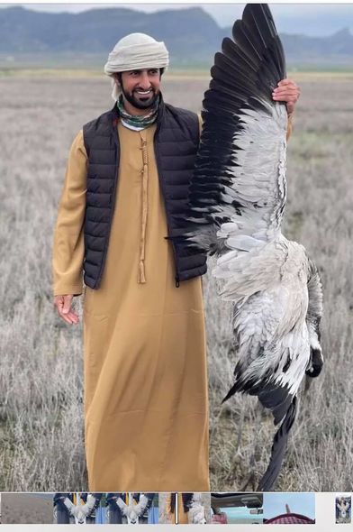 Ərəblər ölkəmizin nadir quşlarını məhv edir -