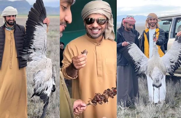 Ərəblər ölkəmizin nadir quşlarını məhv edir -