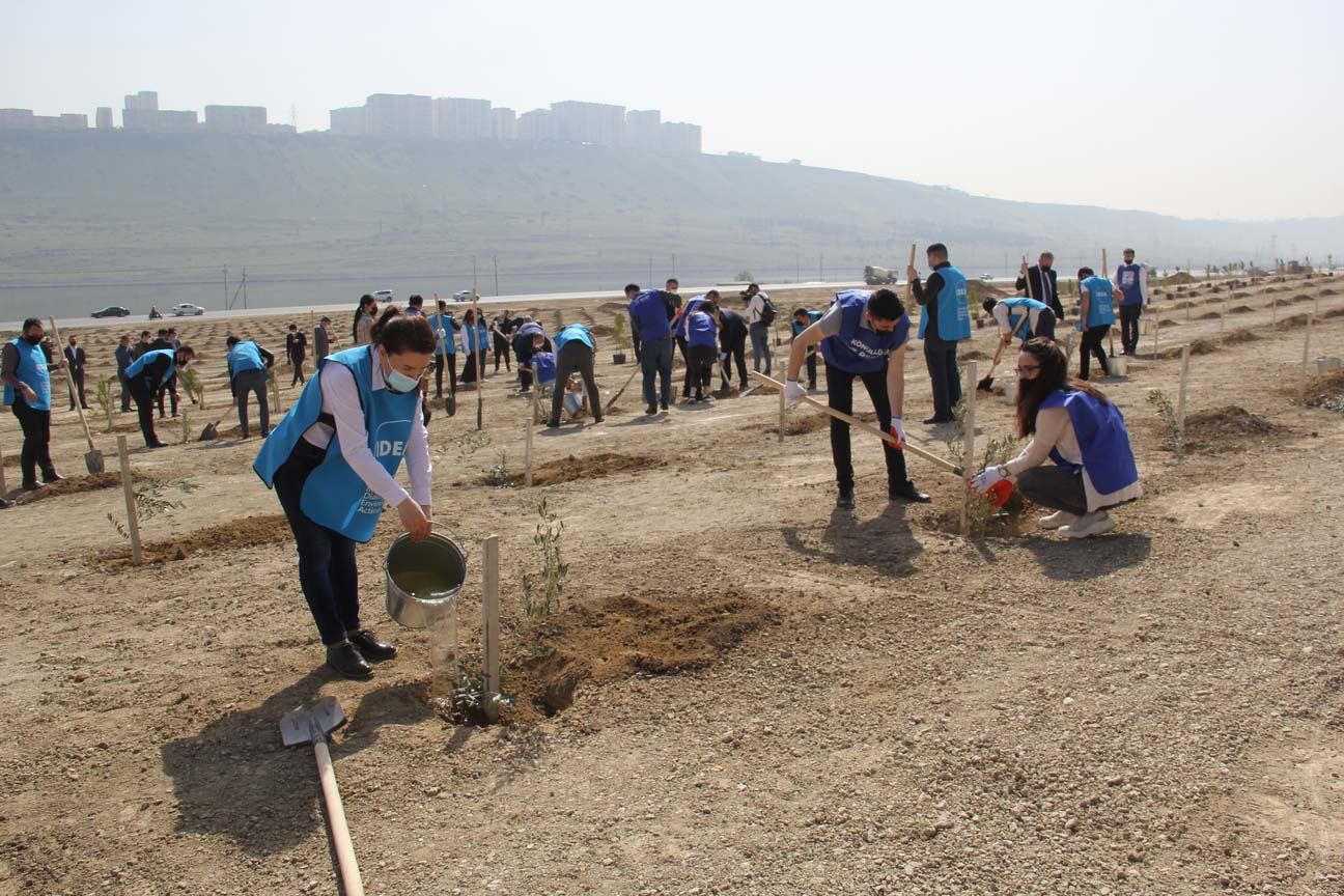 “Yaşıl Marafon” davam edir -