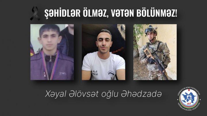 Erməni təxribatı nəticəsində boksçumuz şəhid oldu - 